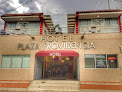 Hotel Plaza Providencia