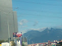 Hotel Reforma