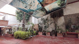 Hotel Villa Hidalgo