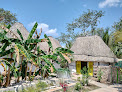 Hotel Y Museo Aldea Maya Toktli Orígenes; Desde $999.00 Pesos. Alberca + Starlink + Tour Del Museo De La Casa Maya