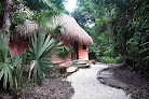 Jolie Jungle Eco Hotel
