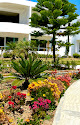 La Finca Del Ángel