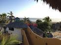Las Palmas Tropicales