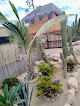 Los Cardones