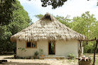 Marea Surf Camp