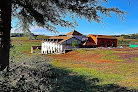 Masia Arameni
