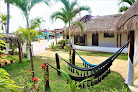 Mayan Mittoz