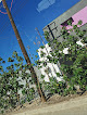 Motel Caramelo La Paz