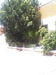 Motel Jardín