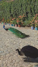 Motel La Hacienda