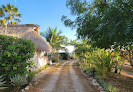 Ocean Oasis Hotel
