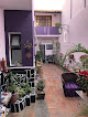 Olga Querida B&B Hostal