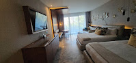 Palladium Hotel Group