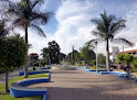 Posada El Viejo Ahuehuete