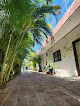 Posada Olmeca