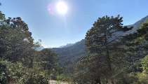 Puerto Genovevo