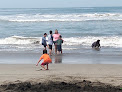 Punta Bruja