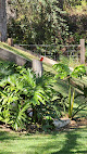 Querida Estancia Cabaña Del Bosque Tapalpa Country Club