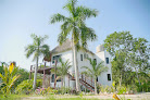 Royal Palm Bacalar