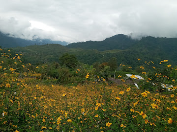 San Juan Tahitic