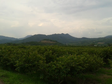 Santa Ana De Guerrero