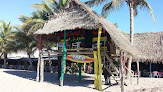 Stoners Surf Camp