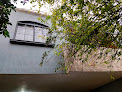 Suites Bugambilias Rooms Primavera Bosque