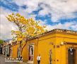 Suites Rua
