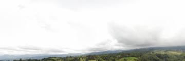Tlacuilola