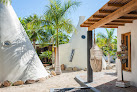 Tribu Todos Santos