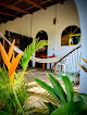 Troncones Hostel Pajarós