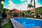 Tulipanes Cancún