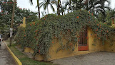 Villa La Buena Vida