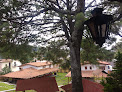 Villas Del Bosque