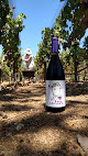 Viñas Del Tigre