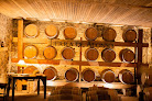 Viñedo Tierra De Alonso